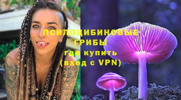 тгк Михайлов