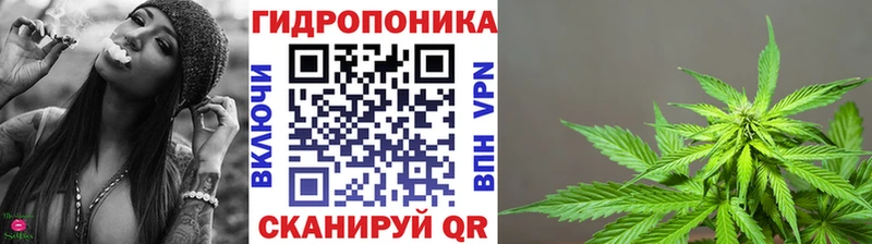 Купить закладки  Кировск  Бошки марихуана марихуана 